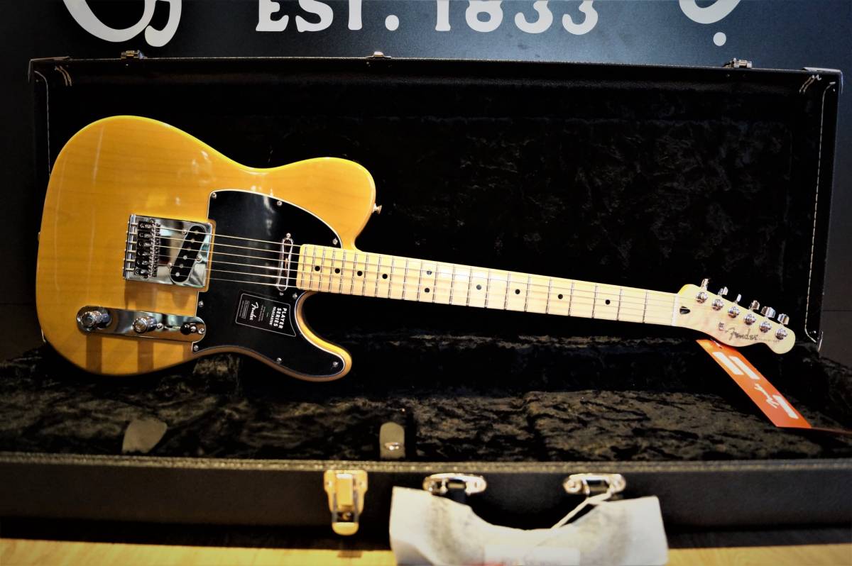 Fender Telecaster Player Maple Neck Butterscotch Blonde Disponible à Arles chez Sud Musique
