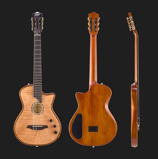 La guitare électro-acoustique Bromo BEN2C s’impose comme une référence pour les guitaristes exigeants près de Marseille.