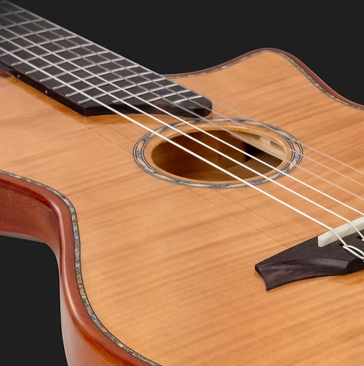 Profitez d’une guitare classique moderne au design innovant pour le fingerstyle et le live à Arles.